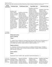 Atnaujintas ilgalaikis fizikos planas (2023 m.) 11 puslapis