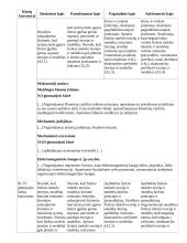 Atnaujintas ilgalaikis fizikos planas (2023 m.) 12 puslapis