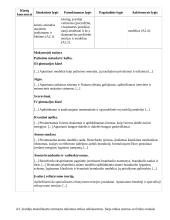 Atnaujintas ilgalaikis fizikos planas (2023 m.) 13 puslapis