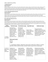 Atnaujintas ilgalaikis fizikos planas (2023 m.) 14 puslapis