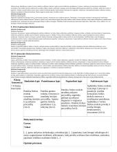 Atnaujintas ilgalaikis fizikos planas (2023 m.) 16 puslapis