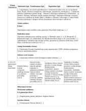 Atnaujintas ilgalaikis fizikos planas (2023 m.) 17 puslapis