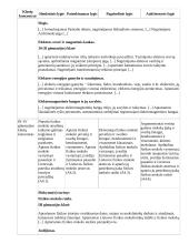 Atnaujintas ilgalaikis fizikos planas (2023 m.) 18 puslapis