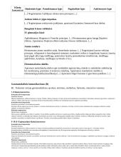 Atnaujintas ilgalaikis fizikos planas (2023 m.) 19 puslapis