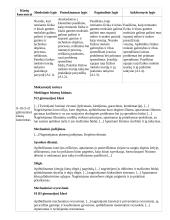 Atnaujintas ilgalaikis fizikos planas (2023 m.) 7 puslapis