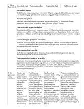 Atnaujintas ilgalaikis fizikos planas (2023 m.) 8 puslapis