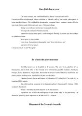 Anykščiai City 4 puslapis