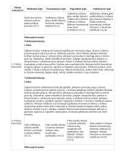 Atnaujintas ilgalaikis fizinio ugdymo planas (2023 m.) 19 puslapis