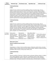 Atnaujintas ilgalaikis fizinio ugdymo planas (2023 m.) 20 puslapis