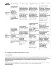 Atnaujintas ilgalaikis geografijos planas (2023 m.) 13 puslapis