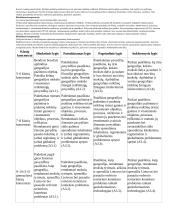 Atnaujintas ilgalaikis geografijos planas (2023 m.) 17 puslapis