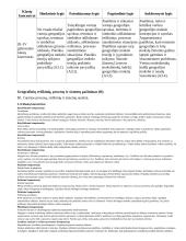 Atnaujintas ilgalaikis geografijos planas (2023 m.) 18 puslapis