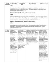 Atnaujintas ilgalaikis istorijos planas (2023 m.) 11 puslapis