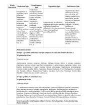 Atnaujintas ilgalaikis istorijos planas (2023 m.) 19 puslapis