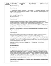 Atnaujintas ilgalaikis istorijos planas (2023 m.) 20 puslapis