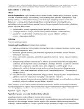 Atnaujintas ilgalaikis istorijos planas (2023 m.) 3 puslapis