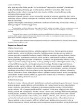 Atnaujintas ilgalaikis istorijos planas (2023 m.) 4 puslapis