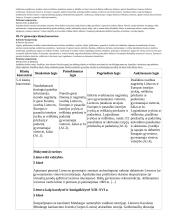 Atnaujintas ilgalaikis istorijos planas (2023 m.) 7 puslapis