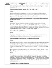 Atnaujintas ilgalaikis istorijos planas (2023 m.) 8 puslapis