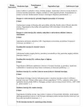 Atnaujintas ilgalaikis istorijos planas (2023 m.) 10 puslapis