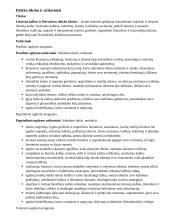 Atnaujintas ilgalaikis lietuvių kalbos ir literatūros planas (2023 m.) 2 puslapis