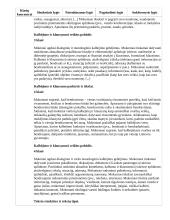 Atnaujintas ilgalaikis lietuvių kalbos ir literatūros planas (2023 m.) 11 puslapis