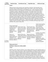 Atnaujintas ilgalaikis lietuvių kalbos ir literatūros planas (2023 m.) 12 puslapis