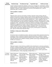 Atnaujintas ilgalaikis lietuvių kalbos ir literatūros planas (2023 m.) 13 puslapis