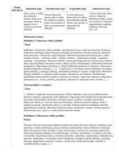 Atnaujintas ilgalaikis lietuvių kalbos ir literatūros planas (2023 m.) 14 puslapis