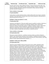 Atnaujintas ilgalaikis lietuvių kalbos ir literatūros planas (2023 m.) 16 puslapis