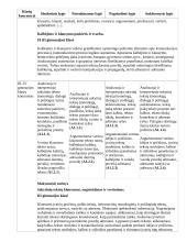 Atnaujintas ilgalaikis lietuvių kalbos ir literatūros planas (2023 m.) 17 puslapis