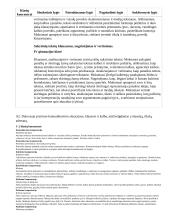 Atnaujintas ilgalaikis lietuvių kalbos ir literatūros planas (2023 m.) 18 puslapis