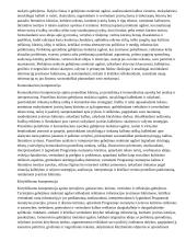 Atnaujintas ilgalaikis lietuvių kalbos ir literatūros planas (2023 m.) 4 puslapis