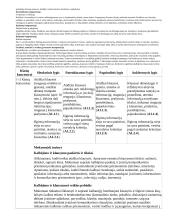 Atnaujintas ilgalaikis lietuvių kalbos ir literatūros planas (2023 m.) 9 puslapis