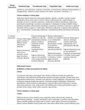 Atnaujintas ilgalaikis lietuvių kalbos ir literatūros planas (2023 m.) 10 puslapis