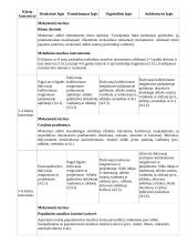 Atnaujintas ilgalaikis muzikos planas (2023 m.) 17 puslapis