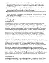 Atnaujintas ilgalaikis pilietiškumo pagrindų planas (2023 m.) 2 puslapis