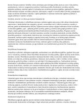 Atnaujintas ilgalaikis pilietiškumo pagrindų planas (2023 m.) 3 puslapis