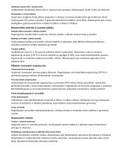 Atnaujintas ilgalaikis pilietiškumo pagrindų planas (2023 m.) 6 puslapis