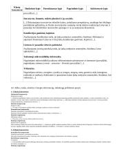 Atnaujintas ilgalaikis technologijų pamokų planas (2023 m.) 11 puslapis