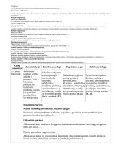 Atnaujintas ilgalaikis technologijų pamokų planas (2023 m.) 6 puslapis