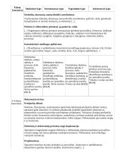 Atnaujintas ilgalaikis technologijų pamokų planas (2023 m.) 7 puslapis