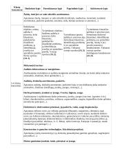 Atnaujintas ilgalaikis technologijų pamokų planas (2023 m.) 8 puslapis