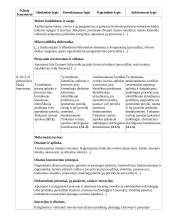 Atnaujintas ilgalaikis technologijų pamokų planas (2023 m.) 10 puslapis