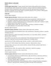 Atnaujintas ilgalaikis pirmosios užsienio kalbos planas (2023 m.) 2 puslapis