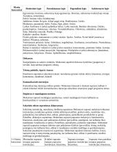 Atnaujintas ilgalaikis pirmosios užsienio kalbos planas (2023 m.) 11 puslapis