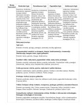 Atnaujintas ilgalaikis pirmosios užsienio kalbos planas (2023 m.) 12 puslapis