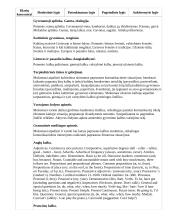 Atnaujintas ilgalaikis pirmosios užsienio kalbos planas (2023 m.) 13 puslapis