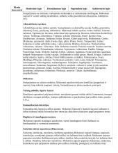 Atnaujintas ilgalaikis pirmosios užsienio kalbos planas (2023 m.) 15 puslapis