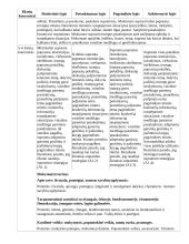 Atnaujintas ilgalaikis pirmosios užsienio kalbos planas (2023 m.) 16 puslapis